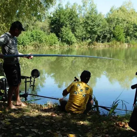 4 Etoiles - Piscine - Eehi00 Aubigny (Vendee)