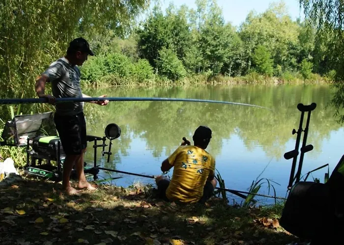 4 Etoiles - Piscine - Eehi00 * Aubigny (Vendee)