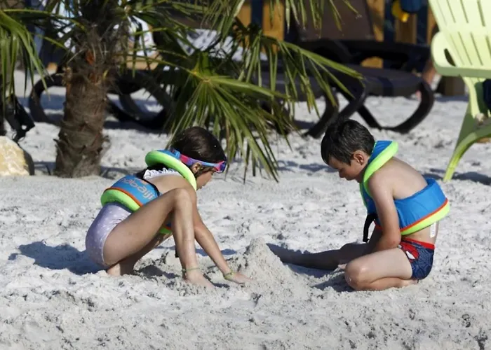 Zecamping 4 Familial Animaux Acceptes Anime Parc Aquatique 营地