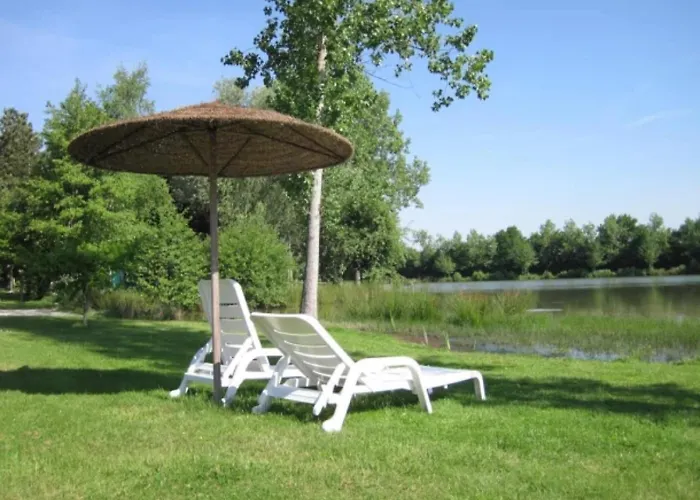 Zecamping 4 Familial Animaux Acceptes Anime Parc Aquatique 营地 4*