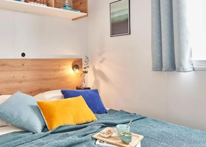 营地 Zecamping 4 Familial Animaux Acceptes Anime Parc Aquatique 4*