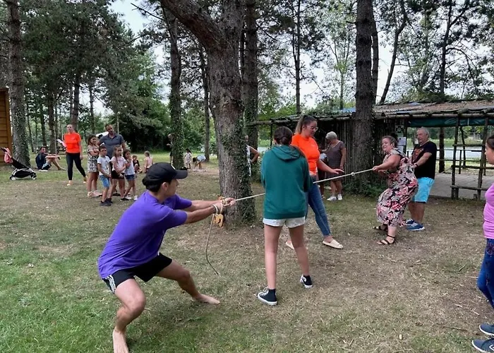 营地 Zecamping 4 Familial Animaux Acceptes Anime Parc Aquatique Aubigny (Vendee)